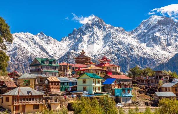 Himachal Pradesh yoga trainer jobs