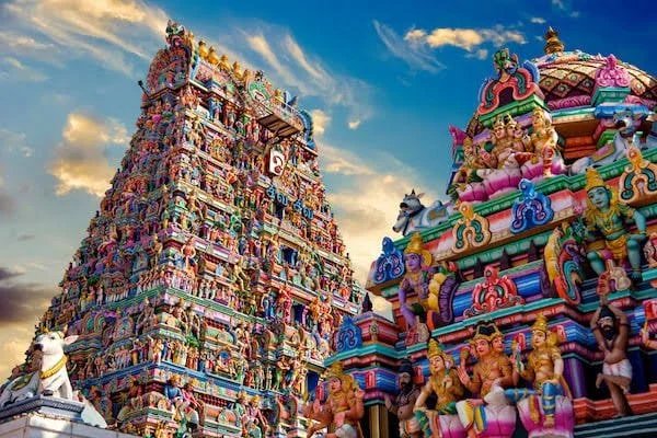 Tamil Nadu yoga trainer jobs
